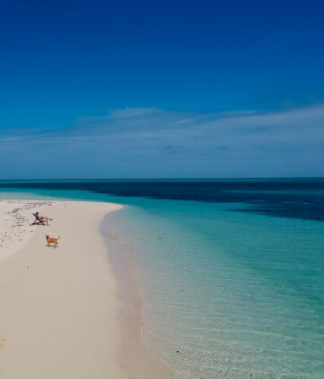 Guys sitting on a chair with his dog on a tropical Beach at Fiji