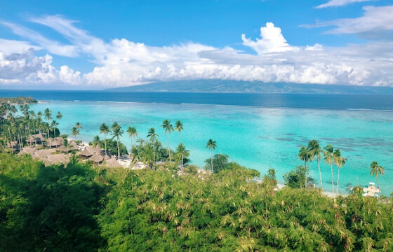 View of a jungle with some huts in French Polynesia