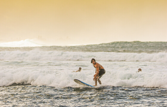 Surfer in Hawaii