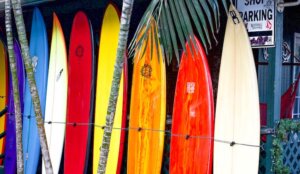 A bunch of different colorful surfboards