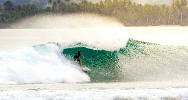 mentawai surf