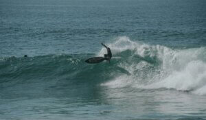 Surfing in Morocco